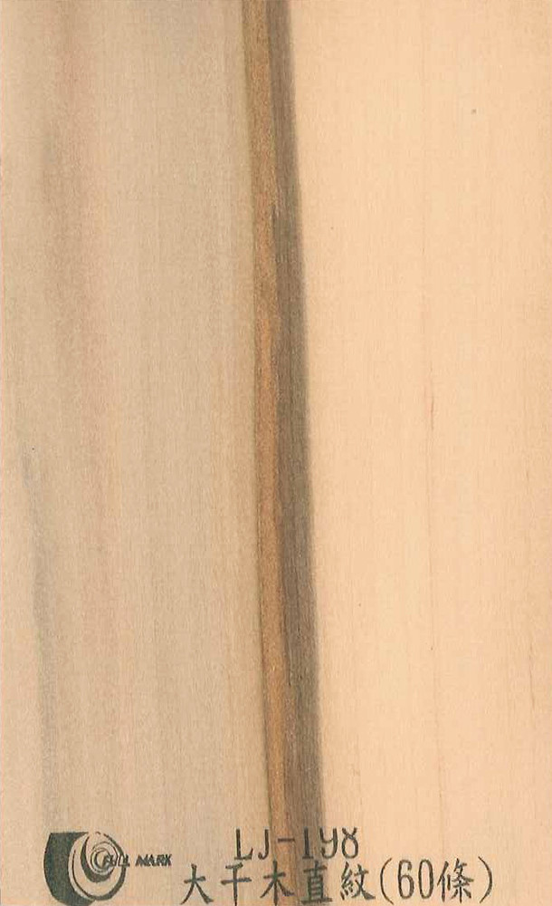 LJ-198 大干木直紋(60條)