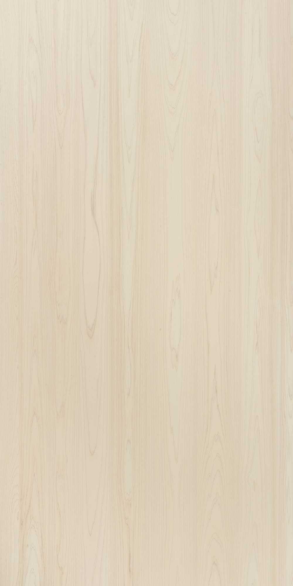 SJ-8262~1H 天然日本檜木實木拼鋼刷塗裝板